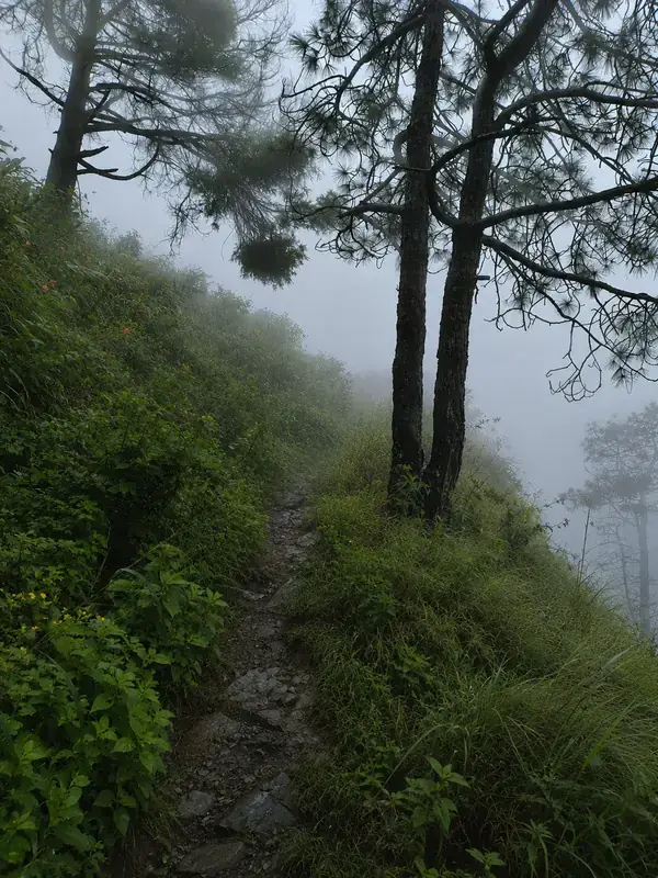 Gilbert Trail Kasauli