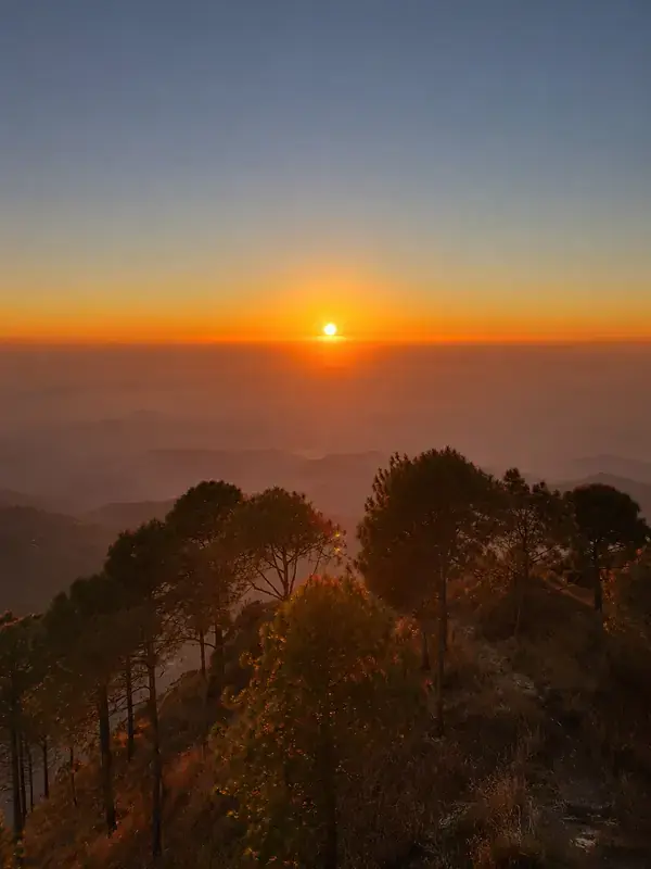 Why Investing in Kasauli Plots is Better Than Buying Built Cottages